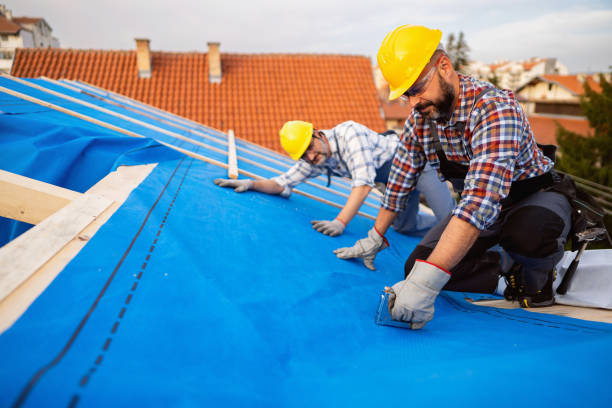 Best Storm Damage Roof Repair  in Avery Creek, NC